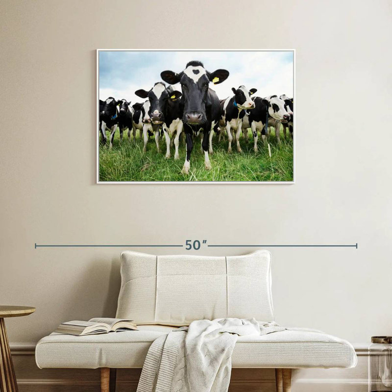 Holstein Cows, Floating Frame White, 37" X 25"