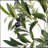 150CM ARTIFICIAL OLIVE TREE-46212970