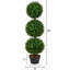 36 " H Faux Boxwood Topiary in Plastic Pot