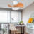22 inch Quiet Ceiling Fan with Light and Remote Control-1790926681