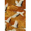Papier peint mural Cranes