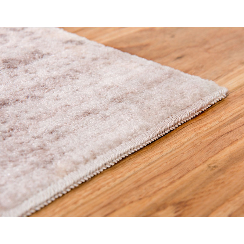 Beige oriental oriental Tapis décoratif, Rectangle 5 pi x 8 pi