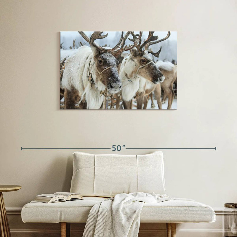 Snow Reindeer, 24" H x 36" W