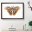 Atlas Moth by George Shaw - Framed Print-55456959-55456958