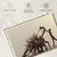 Ballet contemporain-968272691