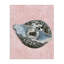 Huître disco sur toile rose, design par Lil 'Rue-1028452617