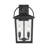 Strathden 17" High 2-Light Outdoor Lantern-367640600