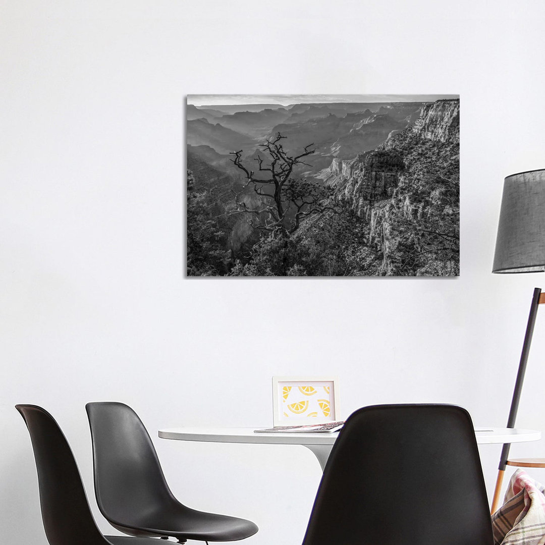 South Rim, Grand Canyon, Arizona von Tim Fitzharris - Gallery-Wrapped Canvas Giclée