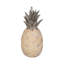 Pièce décorative unique d'ananas en coquillage de 12 pouces Osiris Sagebrook Home