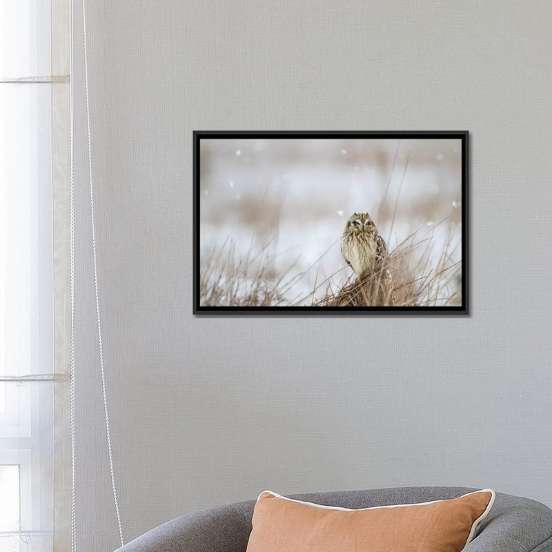 Prairie winter, impression sur toile, H 18 po x l 26 po x P 1,5 po, Toile avec cadre noir, Pas de tapis
