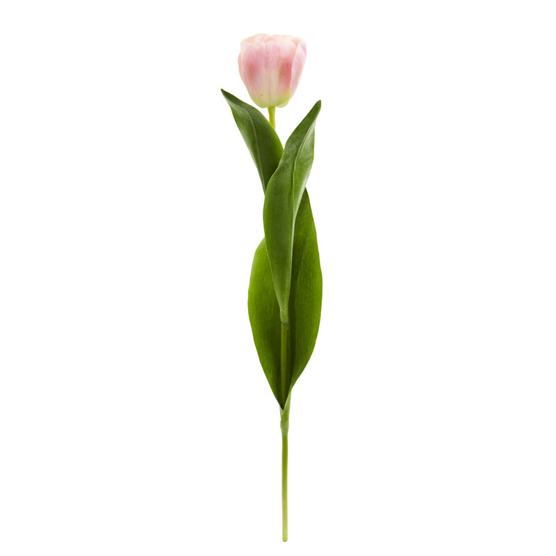 Centre de table tulip, Rose