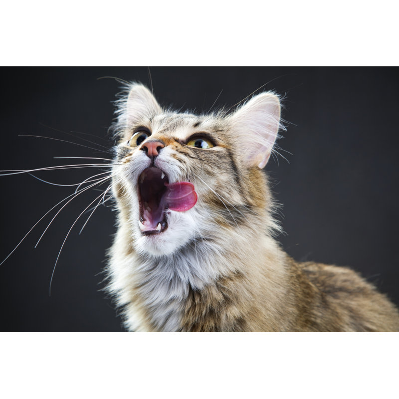 Portrait d'un chat par Sergueïeva, H 32 po x l 48 po