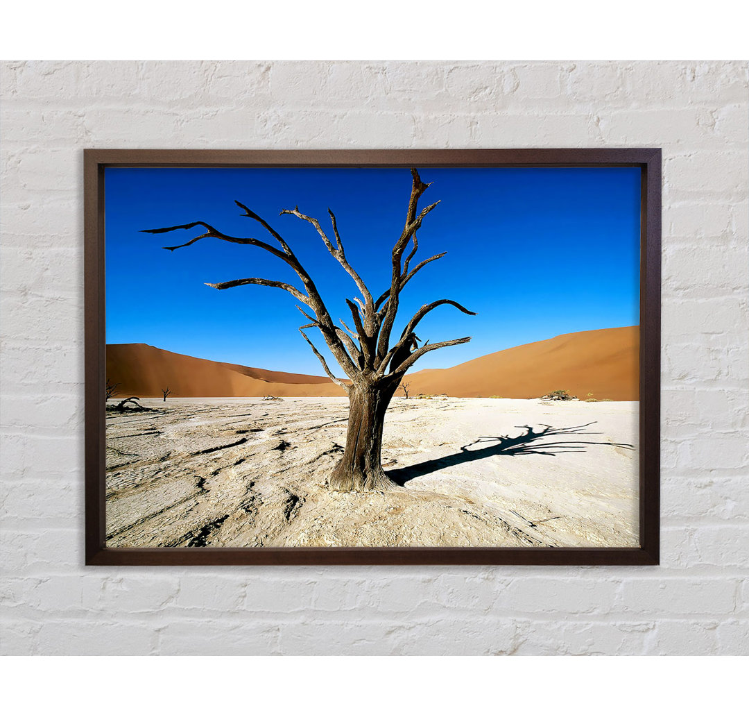 Desert Tree Branches - Single Picture Frame Kunstdrucke auf Leinwand