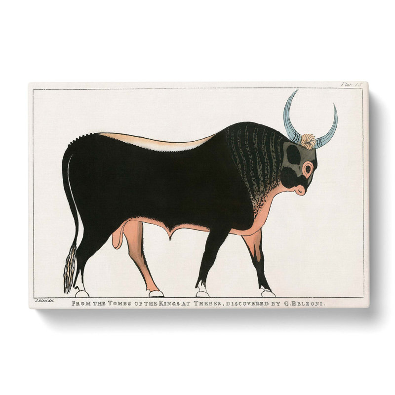 The Apis Bull by G.B. Belzoni - Wrapped Canvas Print, 50cm H x 76cm W x 3cm D