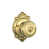 Lifetime Brass