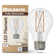 14 Watt Dimmable A19 Light Bulb With Clear Glass Finish And Medium (E26) Base