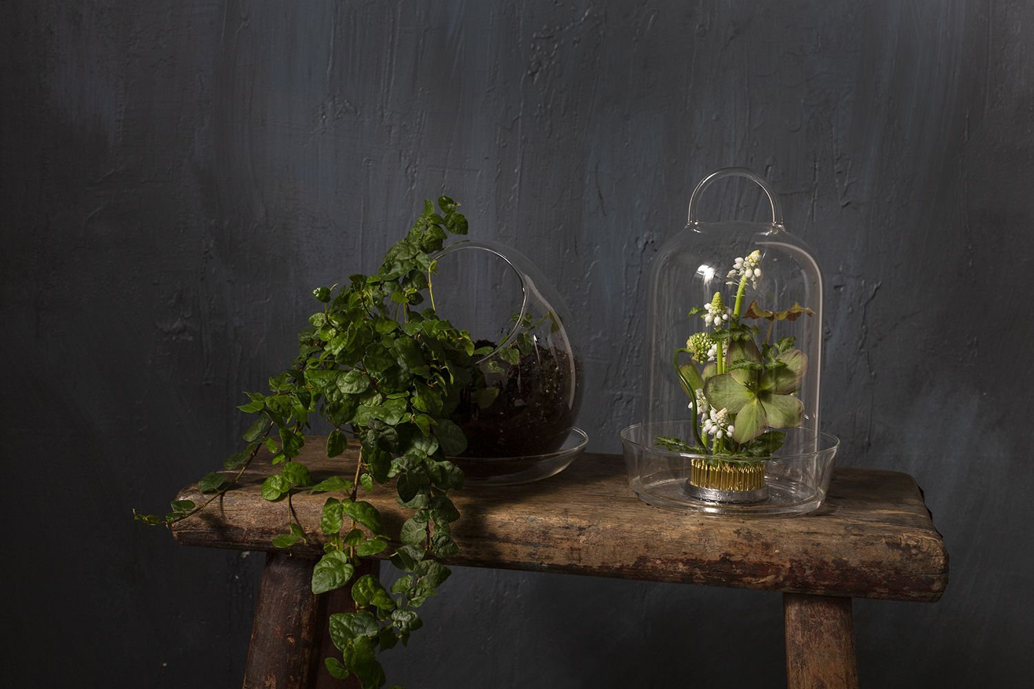 Juhani Handmade Glass Terrarium