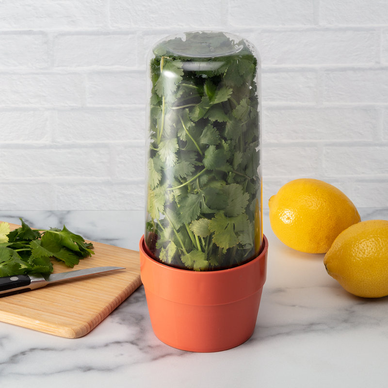 Kestner Food Storage Container