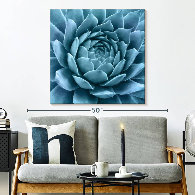 Silvery Blue Agave, 33" H x 33" W