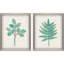 Botanical II Set by THE Studio