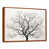 Brown Floater Framed