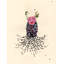 Flowering Crab Print by Jenny Brown