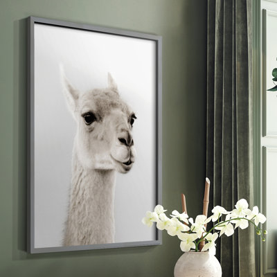 Soft Llama Framed Print - Solid Wood