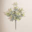 Dusty Miller Bush