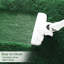 Shag-758678847