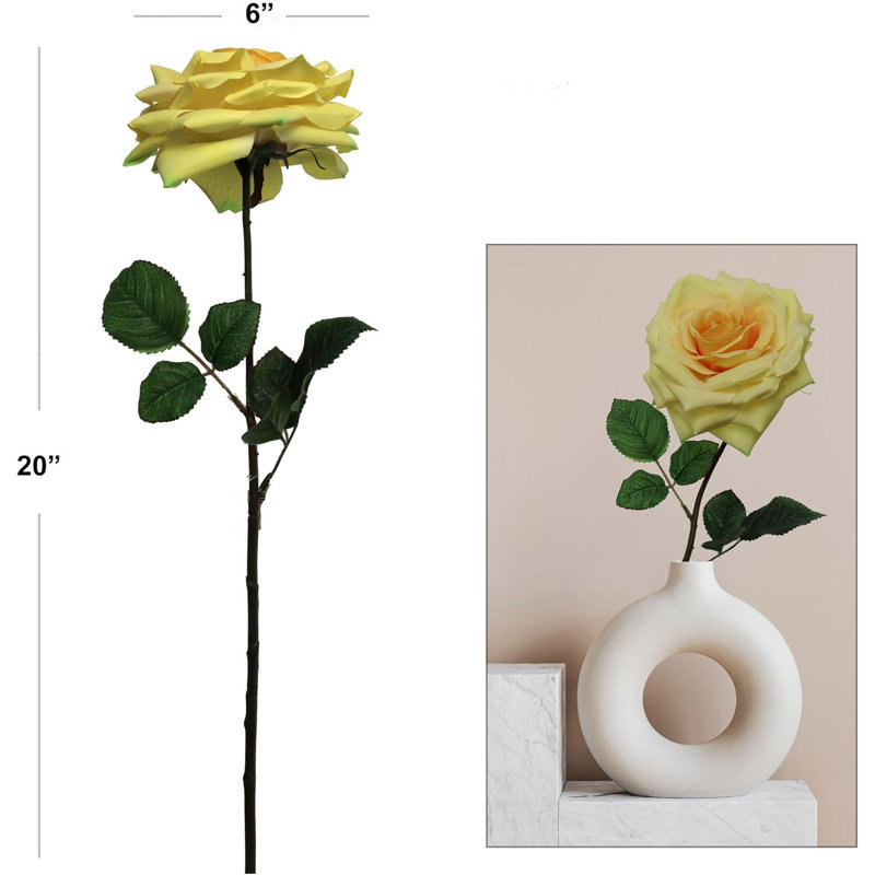 20" Open Rose Stem - 6 Pack