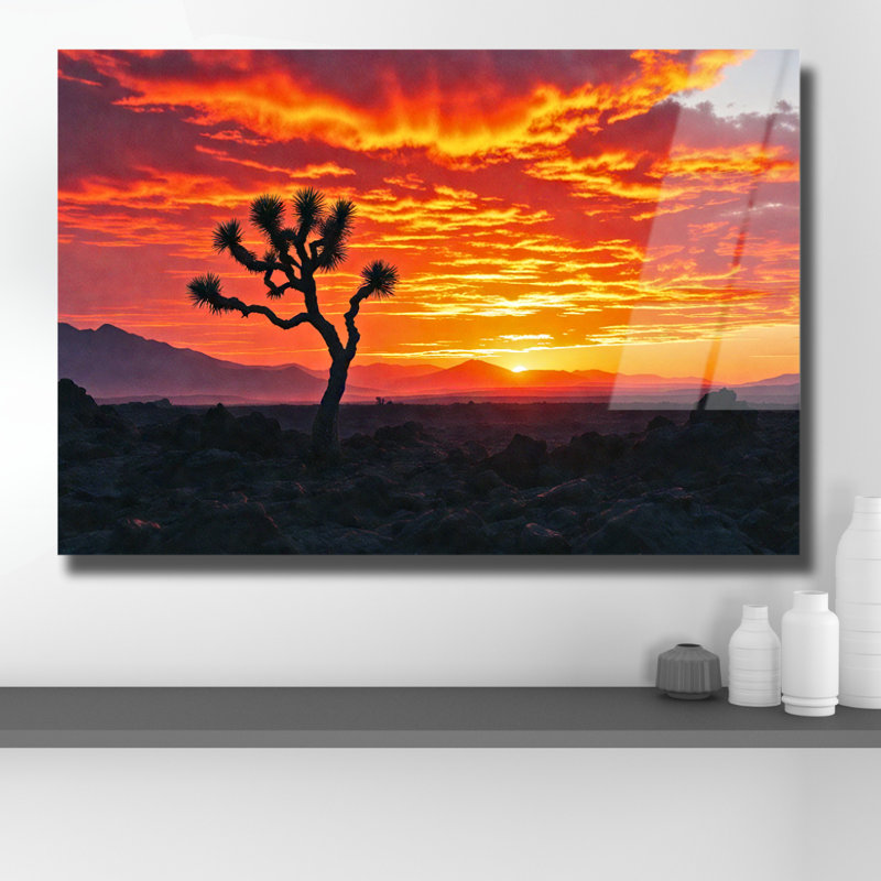 «Joshua Tree Sunset», reproduction d'art sur verre trempé, H 18 po x l 24 po