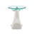 Alaiza the Whale Glass Top Beveled Base End Table-1362657277