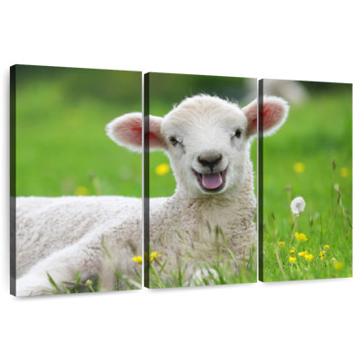 Brampt Funny Lamb
