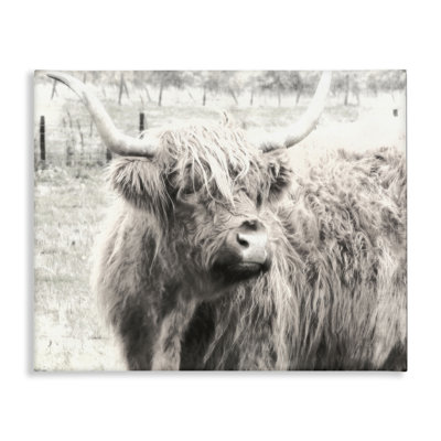  Art mural sur toile Highland Cow Cowing Portrait par Graffi *ee Studios