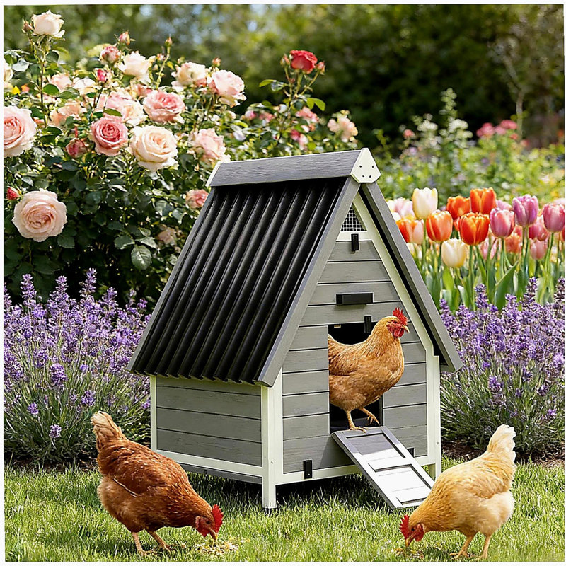 Maison pour animaux de compagnie, poulailler en bois, poulailler
