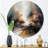 Brown Abstracted Nature II - Abstract Landscapes Round Wall Art on Metal-1082351336
