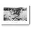 « Fox Hunting »-impression sur toile-338941221