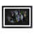 Black Framed