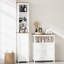 Accent Cabinet
