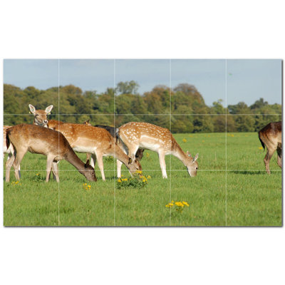 Carreau de céramique décorative 60 po x 36 po PT500435: 12 po x 12 po (ensemble de 15)
