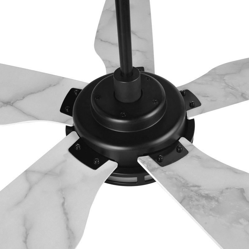Ventilateur de plafond intelligent intérieur / extérieur Elira, ensemble d'éclairage à DEL à intensité variable et télécommande, fonctionne avec l'assistant Google, Amazon Alexa et les raccourcis Siri.