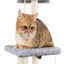 Amsah 90cm H Cat Tree