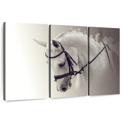 White Dressage Horse