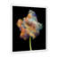 Décoration murale moderne sur toile Blooming Multicolor Fractal III-762934272-762934276