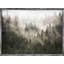 " Foggy Pine Forest "-1602977541