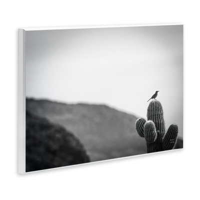 "On Guard Bird" et cactus, art mural par Wild Apple
