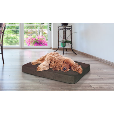 Snuggle Orthopedic Polyester Pet Bed