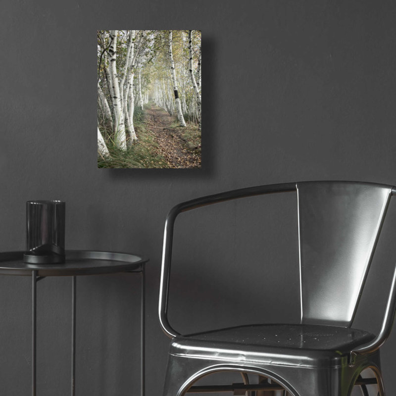 «Birch Trail» par Natalie Mikaels, H 16 po x l 12 po x P 0,13 po