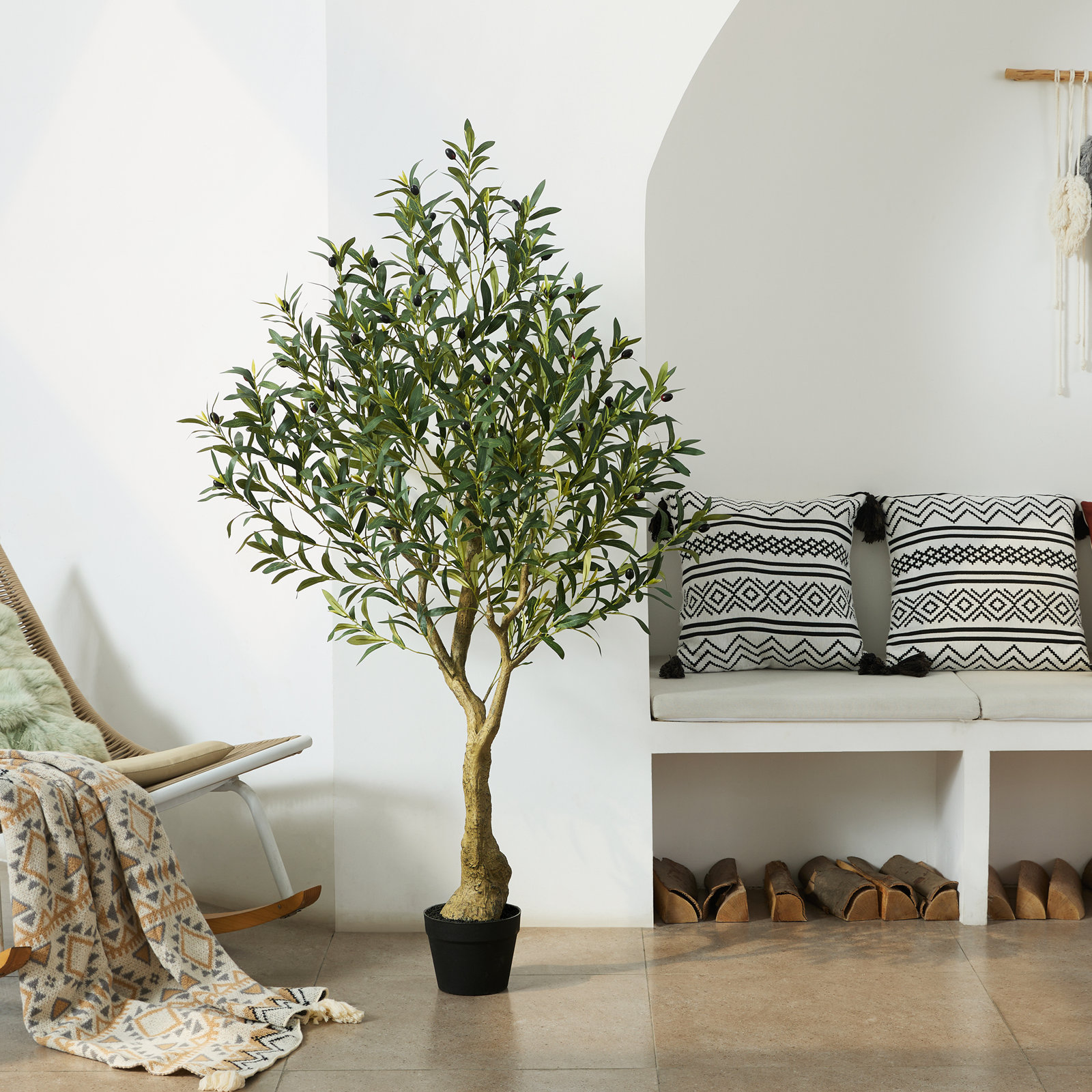 Adcock Olive Tree in Pot, 60"H x 20"W x 20"D