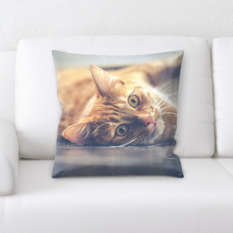 Coussin pour chat